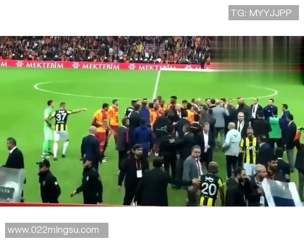 小球迷与球星足球的差异探索：从激情到技术的全方位对比